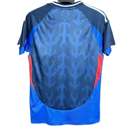 Japon 2024 Domicile