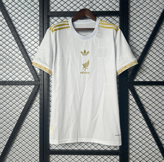 Mexique 2025 Concept