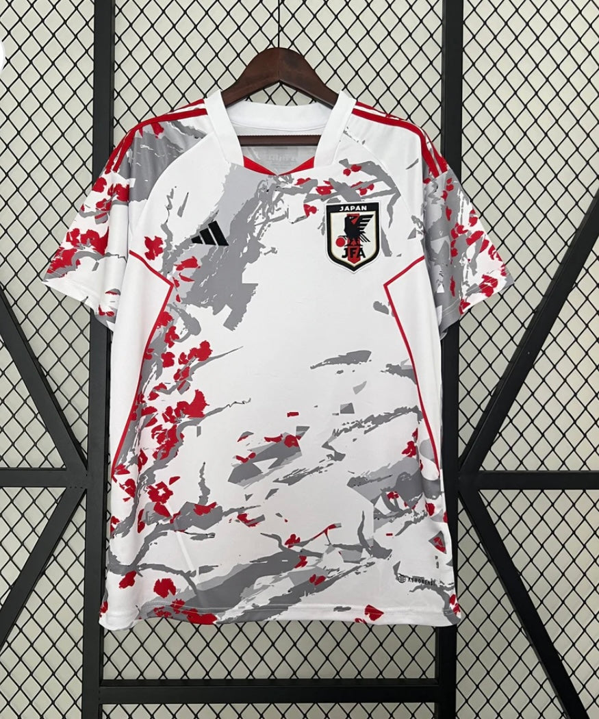 Japon 2024 Concept