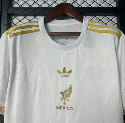Mexique 2025 Concept