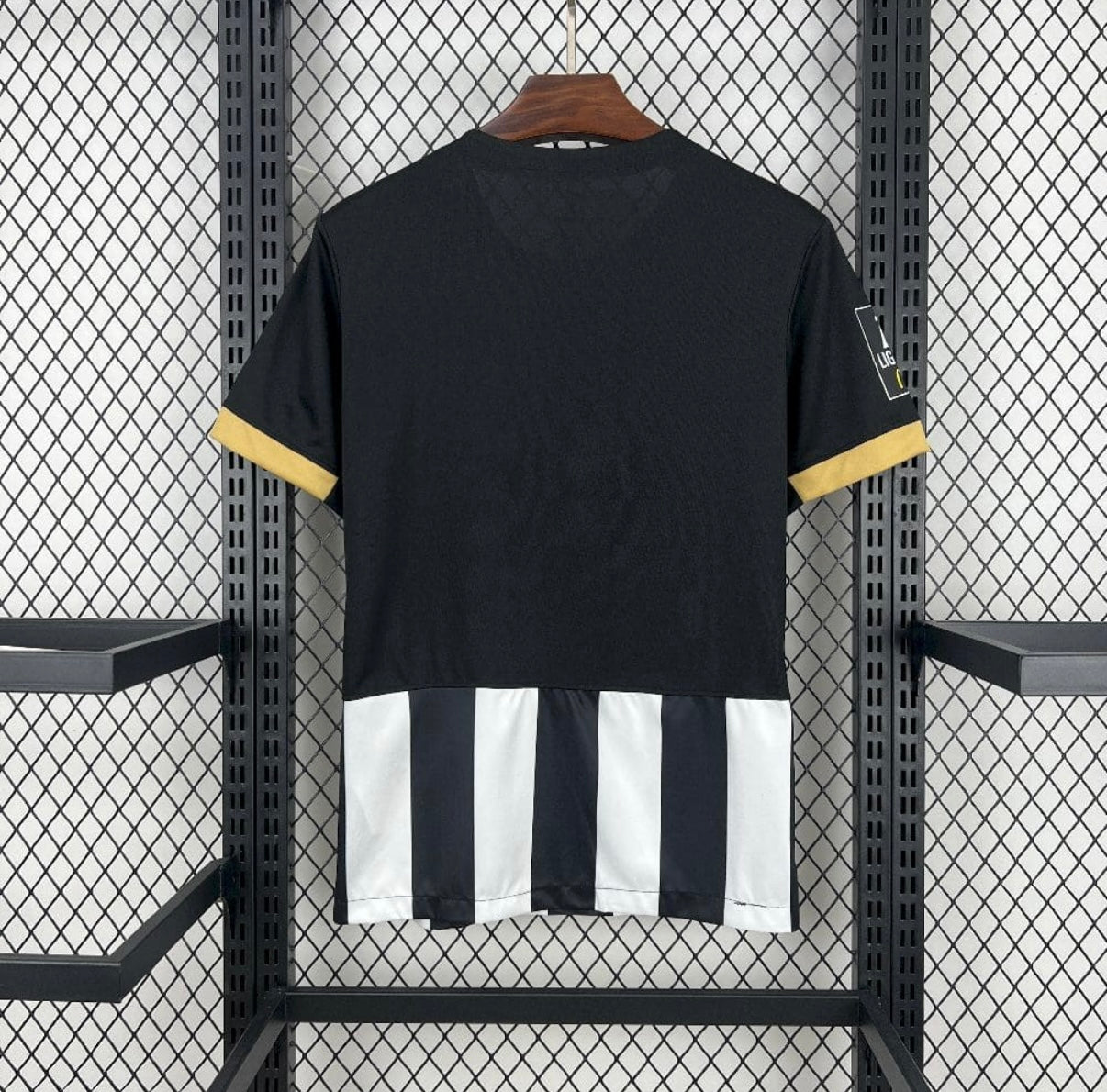 Angers SCO 2025/26 Domicile