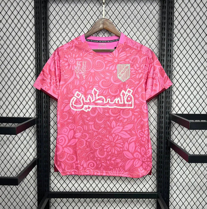 Palestine 2024 Concept